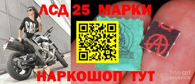 a pvp Кулебаки