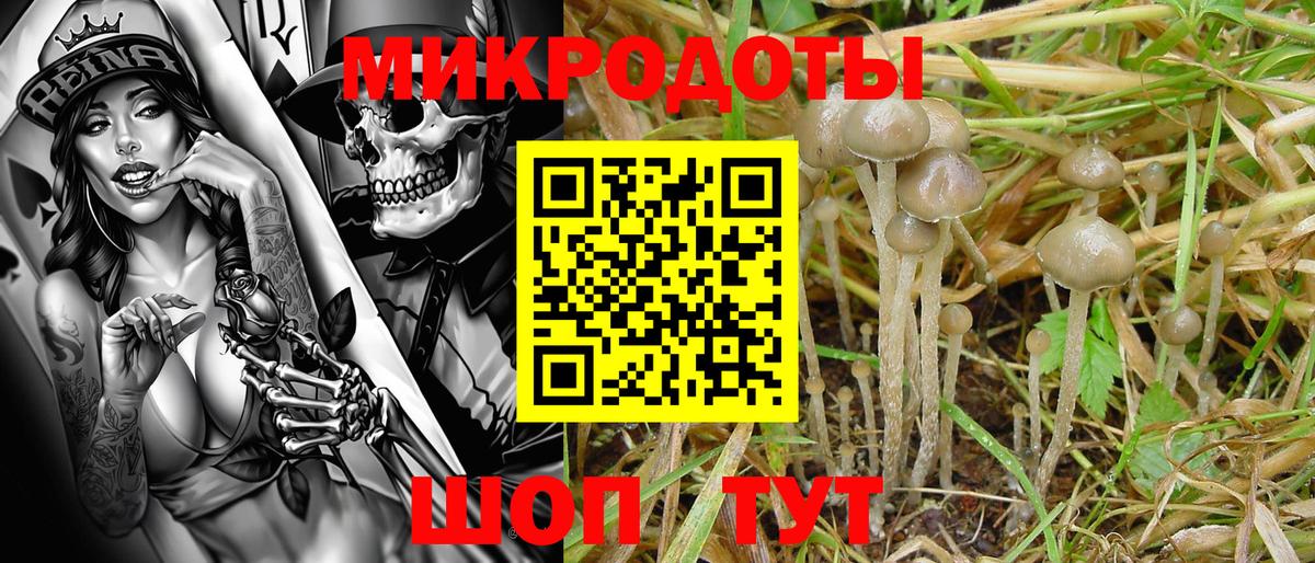 Галлюциногенные грибы MAGIC MUSHROOMS Унеча