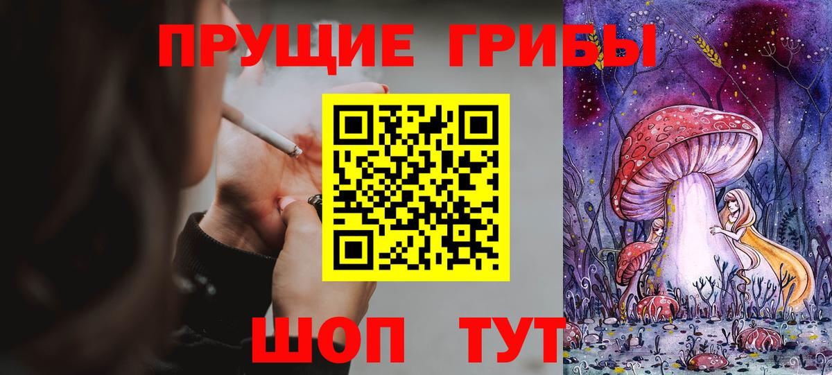 Галлюциногенные грибы Cubensis  Вход с VPN  Унеча 